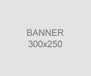 9500-300x250